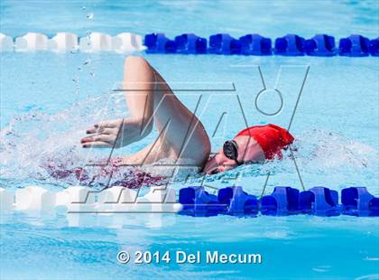 Thumbnail 1 in Hillsborough Western Conference Meet photogallery.