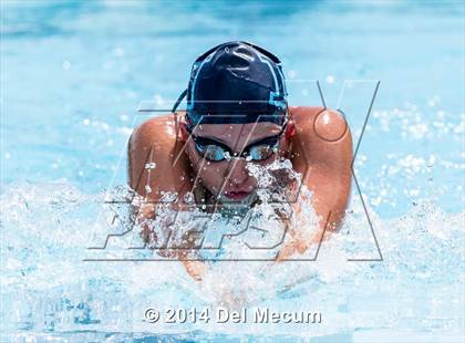 Thumbnail 3 in Hillsborough Western Conference Meet photogallery.