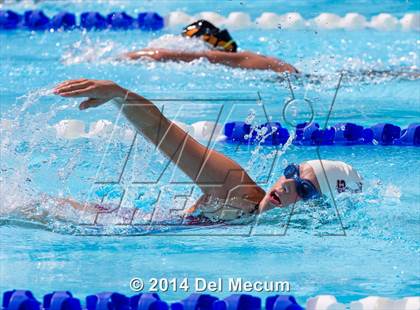 Thumbnail 2 in Hillsborough Western Conference Meet photogallery.