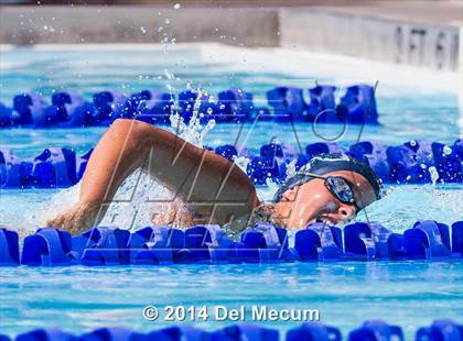 Thumbnail 2 in Hillsborough Western Conference Meet photogallery.