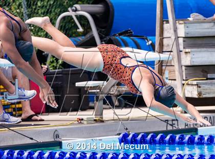 Thumbnail 1 in Hillsborough Western Conference Meet photogallery.