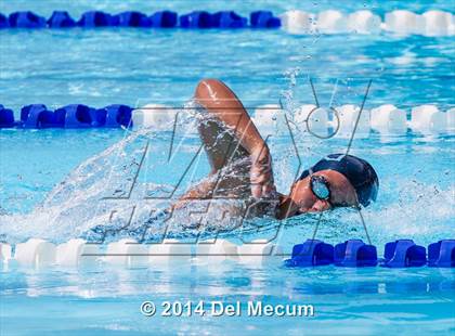 Thumbnail 2 in Hillsborough Western Conference Meet photogallery.