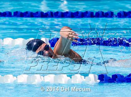 Thumbnail 1 in Hillsborough Western Conference Meet photogallery.