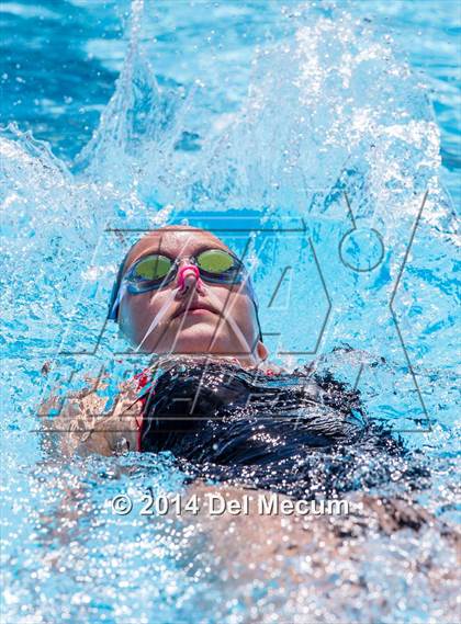 Thumbnail 1 in Hillsborough Western Conference Meet photogallery.