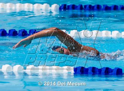 Thumbnail 1 in Hillsborough Western Conference Meet photogallery.