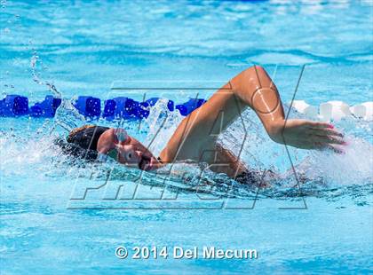Thumbnail 3 in Hillsborough Western Conference Meet photogallery.