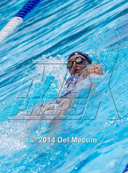 Thumbnail 1 in Hillsborough Western Conference Meet photogallery.