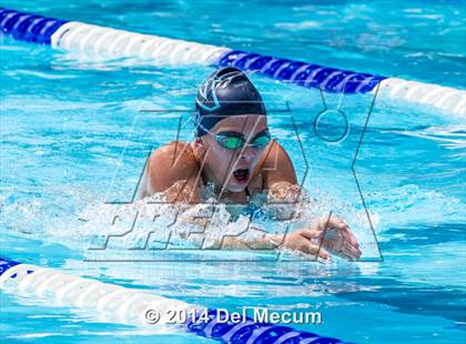 Thumbnail 1 in Hillsborough Western Conference Meet photogallery.
