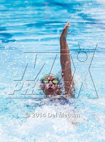 Thumbnail 3 in Hillsborough Western Conference Meet photogallery.