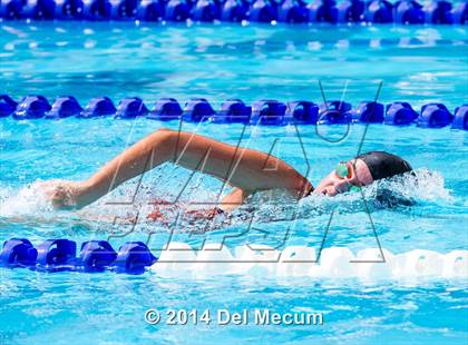 Thumbnail 1 in Hillsborough Western Conference Meet photogallery.