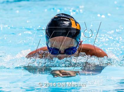 Thumbnail 3 in Hillsborough Western Conference Meet photogallery.