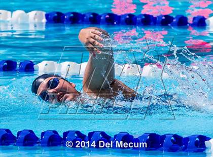 Thumbnail 2 in Hillsborough Western Conference Meet photogallery.