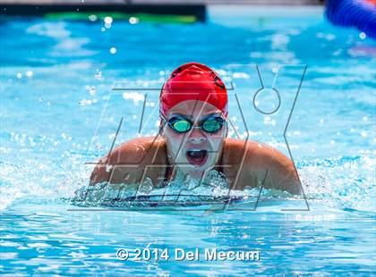 Thumbnail 3 in Hillsborough Western Conference Meet photogallery.