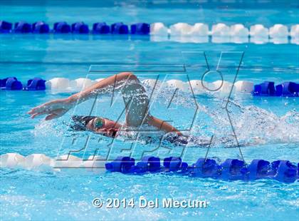 Thumbnail 1 in Hillsborough Western Conference Meet photogallery.