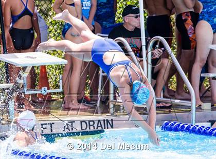 Thumbnail 3 in Hillsborough Western Conference Meet photogallery.