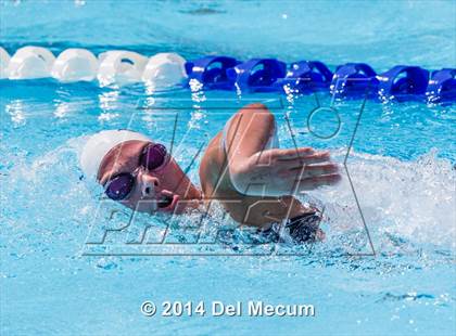 Thumbnail 3 in Hillsborough Western Conference Meet photogallery.