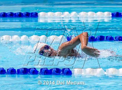 Thumbnail 1 in Hillsborough Western Conference Meet photogallery.