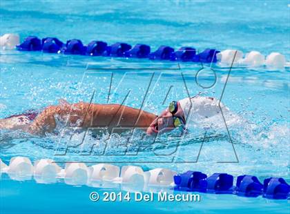 Thumbnail 1 in Hillsborough Western Conference Meet photogallery.