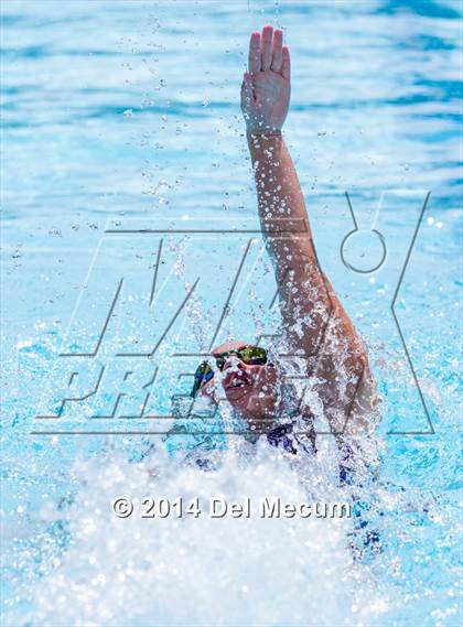 Thumbnail 1 in Hillsborough Western Conference Meet photogallery.