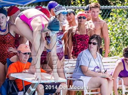 Thumbnail 1 in Hillsborough Western Conference Meet photogallery.
