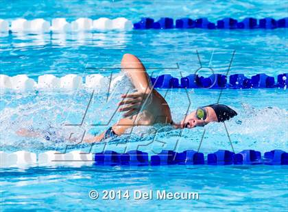 Thumbnail 3 in Hillsborough Western Conference Meet photogallery.