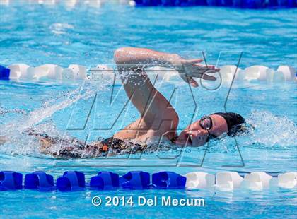 Thumbnail 1 in Hillsborough Western Conference Meet photogallery.