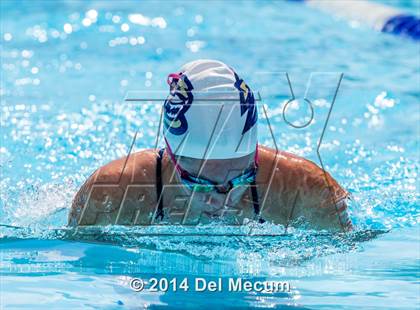Thumbnail 1 in Hillsborough Western Conference Meet photogallery.
