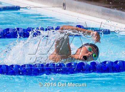 Thumbnail 1 in Hillsborough Western Conference Meet photogallery.