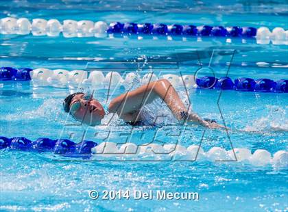 Thumbnail 2 in Hillsborough Western Conference Meet photogallery.