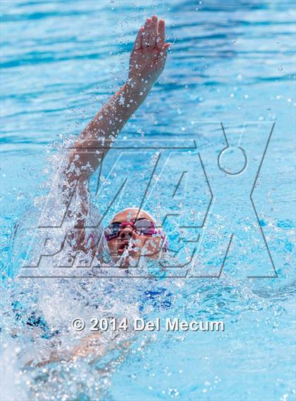 Thumbnail 3 in Hillsborough Western Conference Meet photogallery.