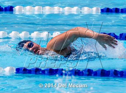 Thumbnail 3 in Hillsborough Western Conference Meet photogallery.