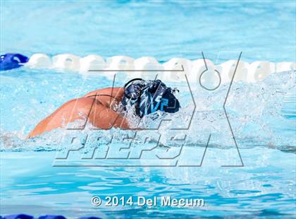 Thumbnail 2 in Hillsborough Western Conference Meet photogallery.