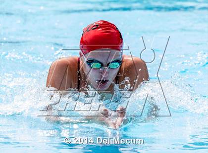 Thumbnail 1 in Hillsborough Western Conference Meet photogallery.