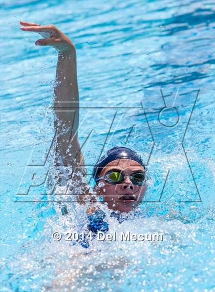 Thumbnail 1 in Hillsborough Western Conference Meet photogallery.