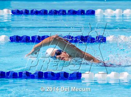 Thumbnail 1 in Hillsborough Western Conference Meet photogallery.