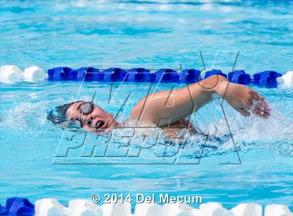 Thumbnail 2 in Hillsborough Western Conference Meet photogallery.
