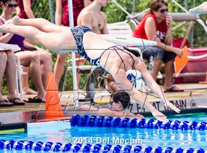 Thumbnail 1 in Hillsborough Western Conference Meet photogallery.
