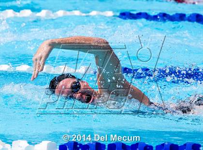 Thumbnail 1 in Hillsborough Western Conference Meet photogallery.