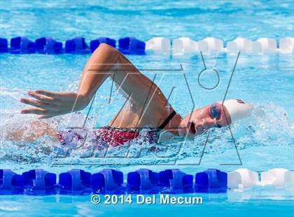 Thumbnail 3 in Hillsborough Western Conference Meet photogallery.