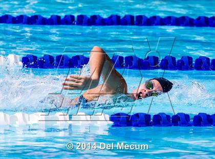 Thumbnail 2 in Hillsborough Western Conference Meet photogallery.