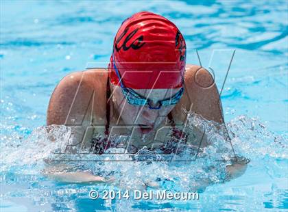 Thumbnail 3 in Hillsborough Western Conference Meet photogallery.