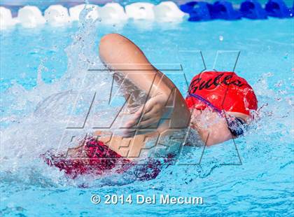 Thumbnail 1 in Hillsborough Western Conference Meet photogallery.