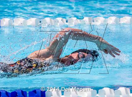 Thumbnail 3 in Hillsborough Western Conference Meet photogallery.