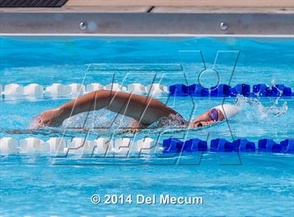 Thumbnail 3 in Hillsborough Western Conference Meet photogallery.