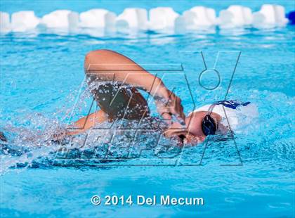 Thumbnail 2 in Hillsborough Western Conference Meet photogallery.