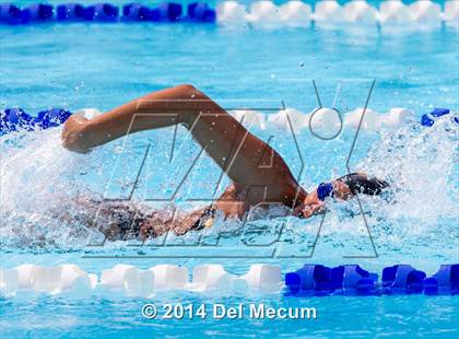 Thumbnail 1 in Hillsborough Western Conference Meet photogallery.