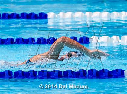 Thumbnail 1 in Hillsborough Western Conference Meet photogallery.