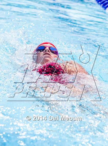 Thumbnail 1 in Hillsborough Western Conference Meet photogallery.