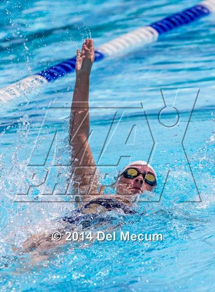 Thumbnail 2 in Hillsborough Western Conference Meet photogallery.