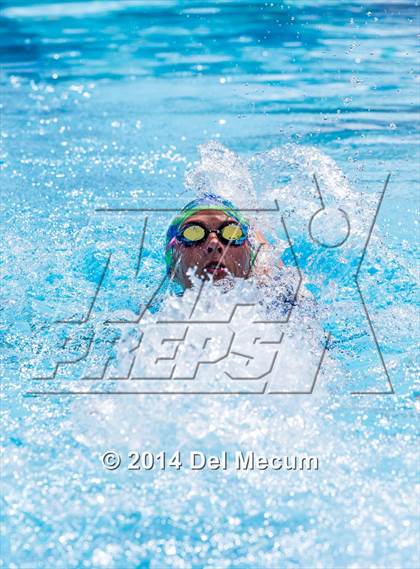 Thumbnail 1 in Hillsborough Western Conference Meet photogallery.